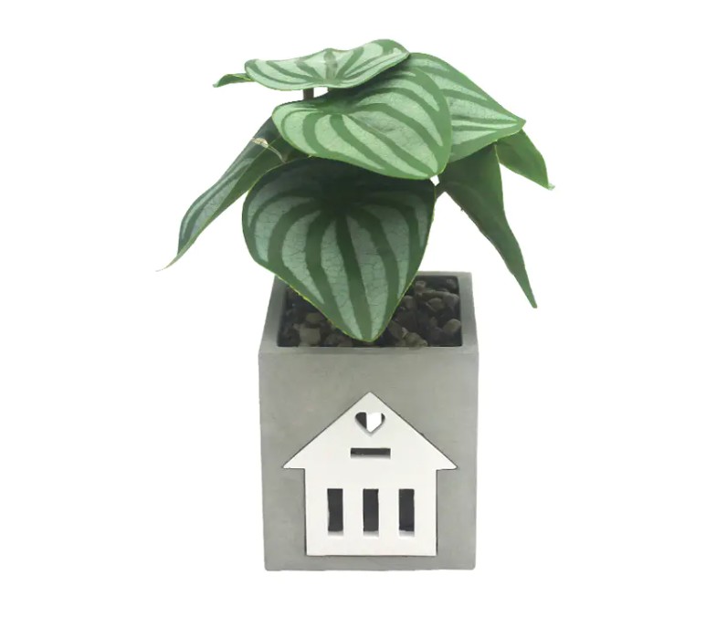 Is de LED -cementlamp compatibel met smart home -systemen, voor spraakbesturing en automatisering?